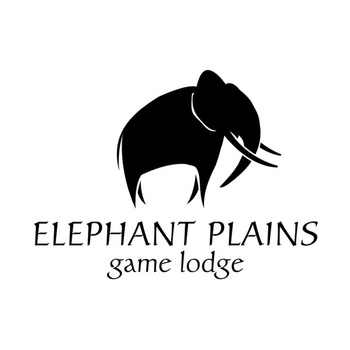 elephant-plains SSPT donor